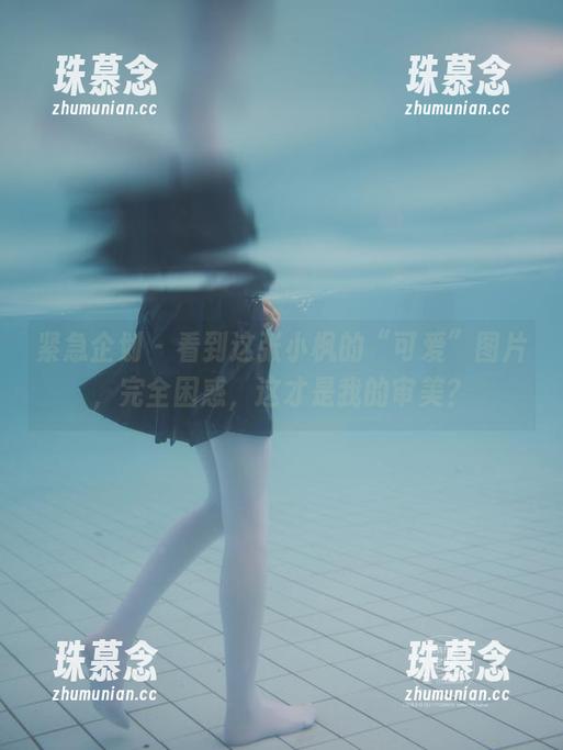 紧急企划-小枫 紧急企划 - 看到这张小枫的“可爱”图片,完全困惑,这才是我的审美?