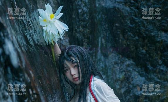 在阿寨寨兔女郎私人写真中寻找点滴奢侈感