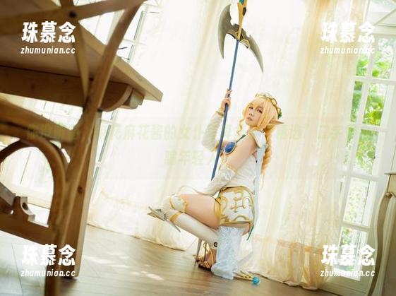 你没听错，麻花麻花酱的女仆写真集，“精选”二字很会骗年轻人。